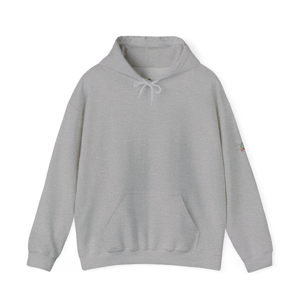 1400! Hoodie (Adult Size)