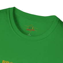 Load image into Gallery viewer, Property of Sherwood T-Shirt - Gold Font (Adult Size)

