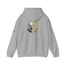 Load image into Gallery viewer, They Not Like Us! Hoodie (Adult Size)

