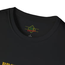 Load image into Gallery viewer, Property of Sherwood T-Shirt - Gold Font (Adult Size)
